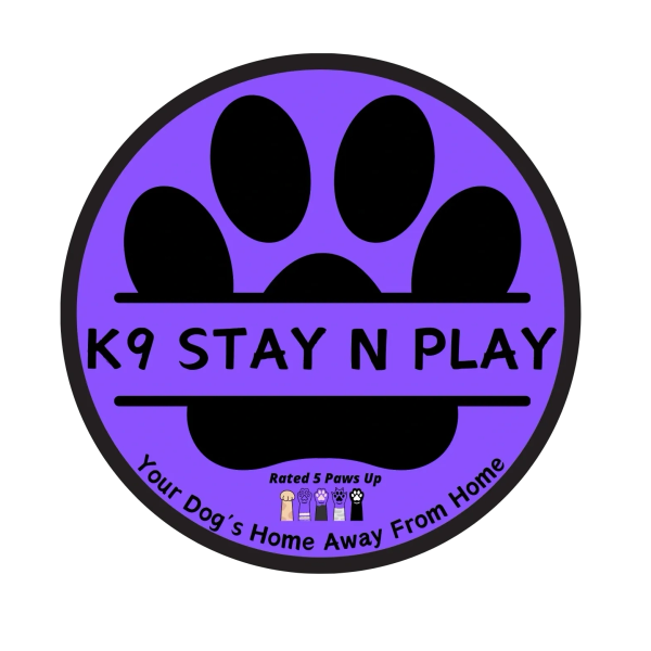 K9 Stay N Play — Your Dog's Home Away From Home